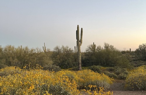 Apache Junction House | Vega 01: A spacious, 3-bedroom desert oasis stay, Vega #1