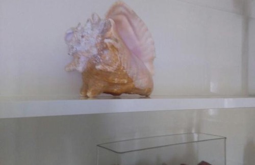 San Bartolomeo al Mare Apartment | Vento di Greco