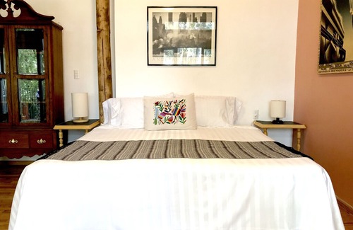 Del Carmen House | Very close to the House of Frida Kahlo!