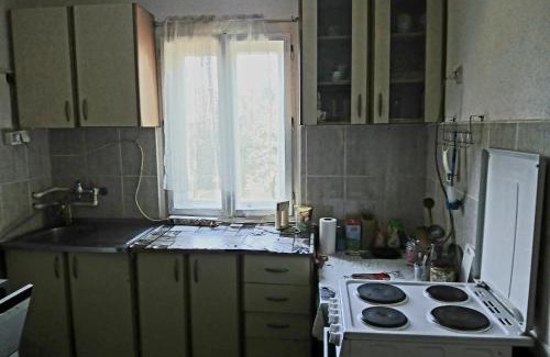 Kraljevo Apartment | Vesna