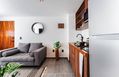 Santa Maria la Ribera Apartment | VH | Cálido depa Sta Ma la Ribera 1 BR + gym | 132