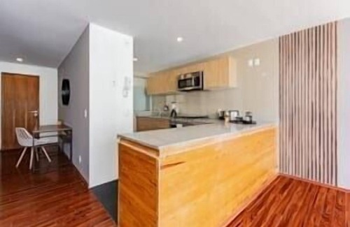 Miguel Hidalgo Apartment | VH | Depa en Polanco | gym and estacionamiento | 230