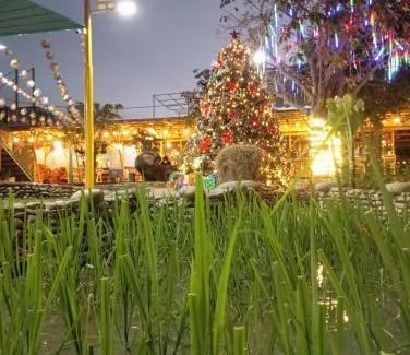 Phuoc Tan Hotel | Việt Kiều Royal