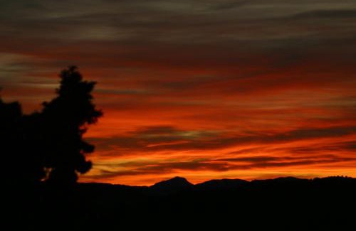 Piera Cabin | Vi l'Art Wine Lodge - Only Adults