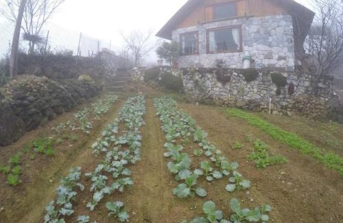 Sa Pa Ski Chalet | Vi's House - Nature in the middle of Hmong village