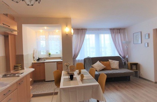 Srodmiescie Apartment | Vicky - Clean, quiet, private flat centrum Warsaw