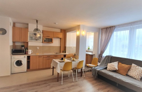 Srodmiescie Apartment | Vicky - Clean, quiet, private flat centrum Warsaw