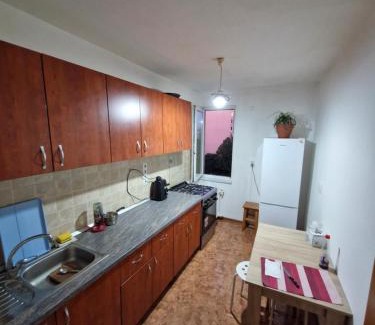 Centrul Nou Apartment | Victoriei Residence