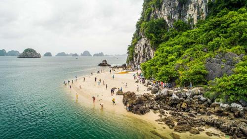 Bai Chay Boat Rental | Victory Cruise