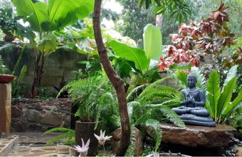 Tangalle Apartment | VIEW guesthouse & bistro at goyambokka