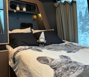Vikajarvi Apartment | Vikajärvi Lake View Experience Igloos