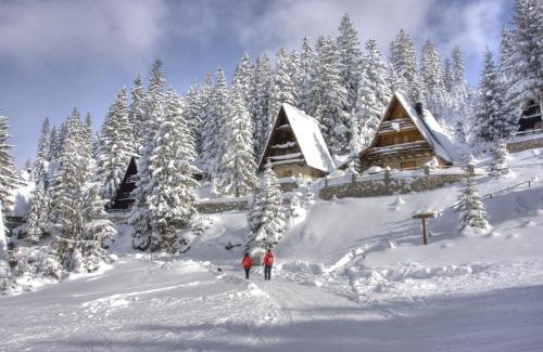 Babanovac Apartment | Vikendica - Niđe Veze - Vlašić