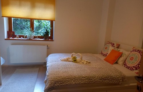 Jablonec nad Nisou Apartment | Vila apartmán U Přehrady