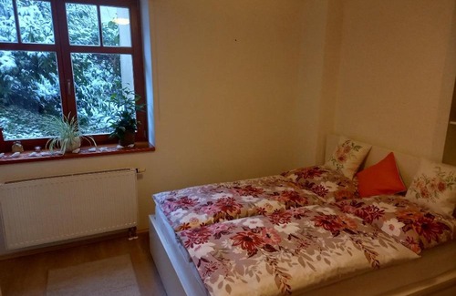 Jablonec nad Nisou Apartment | Vila apartmán U Přehrady
