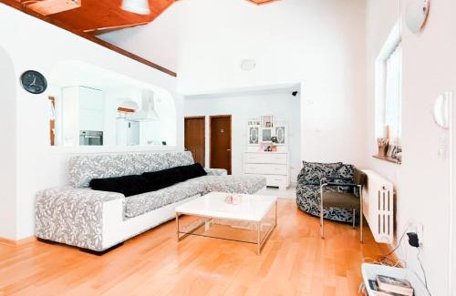 Mladenovac Apartment | Vila Avala