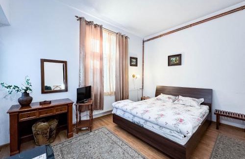 Caciulata House | Vila Brazilor