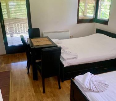 Zlatibor Apartment | Vila Darija Zlatar - studio apartman br 1