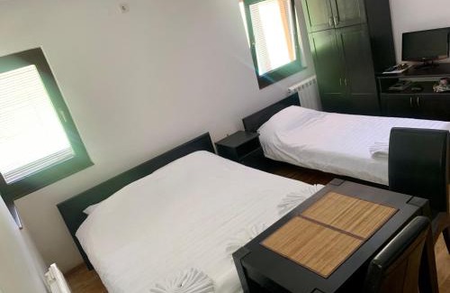 Zlatibor Apartment | Vila Darija Zlatar - studio apartman br 1