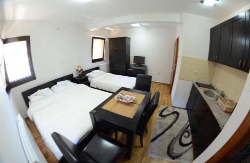 Zlatibor Apartment | Vila Darija Zlatar - studio apartman br 1