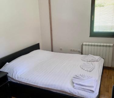 Zlatibor Apartment | Vila Darija Zlatar - studio apartman br. 2
