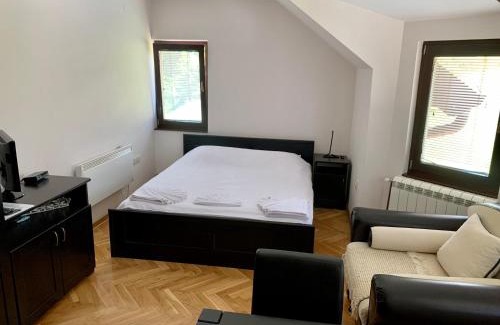 Zlatibor Apartment | Vila Darija Zlatar - studio apartman br. 4