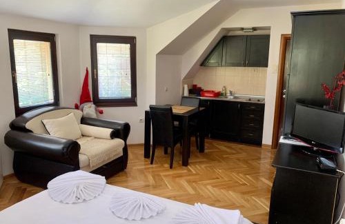 Zlatibor Apartment | Vila Darija Zlatar - studio apartman br. 4