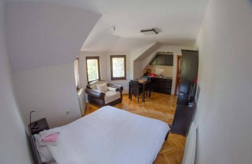 Zlatibor Apartment | Vila Darija Zlatar - studio apartman br. 4