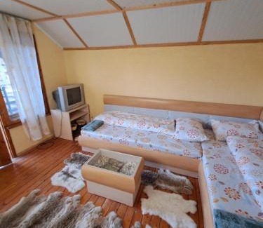 Vratsa Villa | Vila Dedo Liben