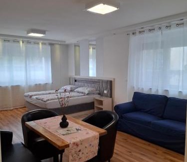 Bezigrad District Apartment | Vila Ema Apartments and Rooms