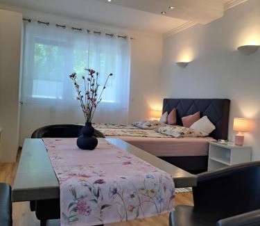 Bezigrad District Apartment | Vila Ema Apartments and Rooms