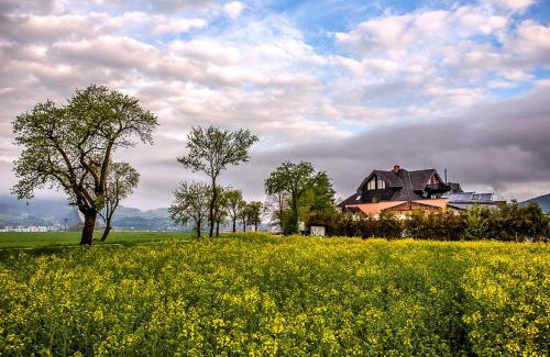 Ludrova House | Vila Fenix B&B