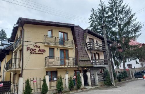 Busteni Apartment | Vila Foc Alb Apartamente-Busteni