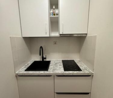 Palanga Apartment | Vila Laurus