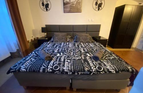 Plzen Apartment | Vila Lucia - Apartmán 1