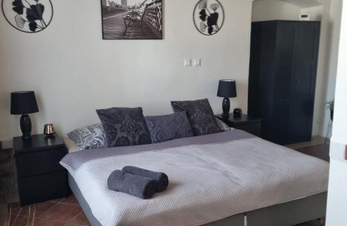 Plzen Apartment | Vila Lucia - Apartmán 1