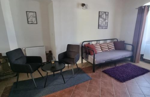 Plzen Apartment | Vila Lucia - Apartmán 1