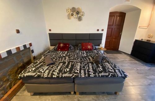 Plzen Apartment | Vila Lucia - Apartmán 2