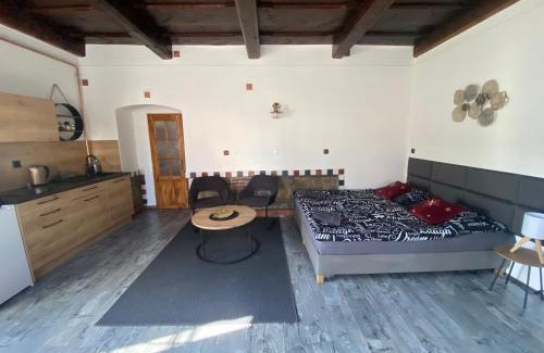 Plzen Apartment | Vila Lucia - Apartmán 2