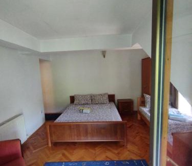 Niska Banja Bed & Breakfast | VILA MARKO