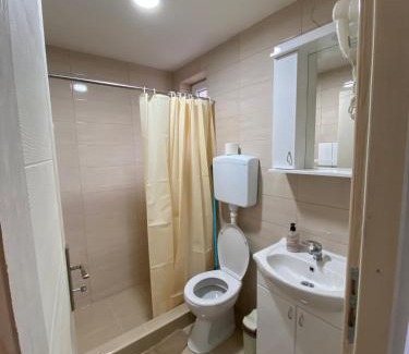 Stara Planina Apartment | Vila Nika
