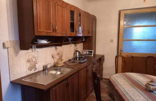 Liberec Apartment | Vila pod Ještědem