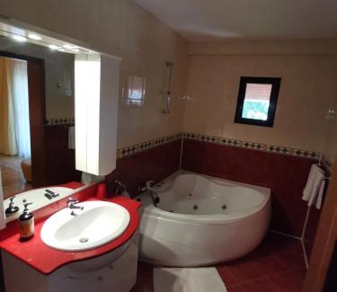 Timisoara House | Vila Sara