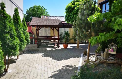 Timisoara House | Vila Sara