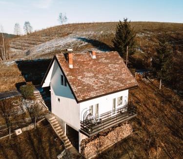 Zlatibor House | Vila Sekvoja
