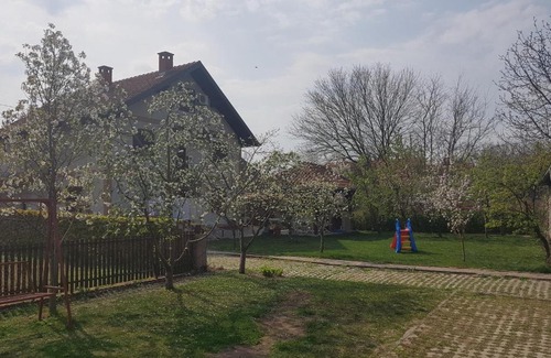 Veliko Gradiste Villa | Vila Tešić