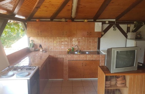 Veliko Gradiste Villa | Vila Tešić