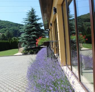 Brasov House | Vila Trapez