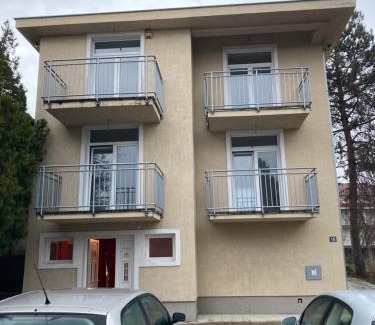 Veliko Gradiste Apartment | Vila ViV Srebrno Jezero
