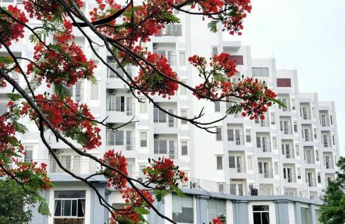 Hoang Hoa Villa | Villa 115 beach house Eureka Linh Trường