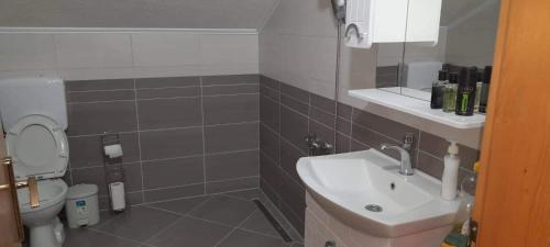 Mali Radic Villa | Villa Aida